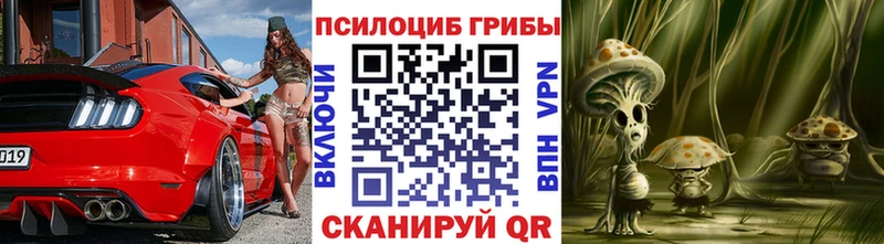 закладки  Починок  Псилоцибиновые грибы Psilocybine cubensis 